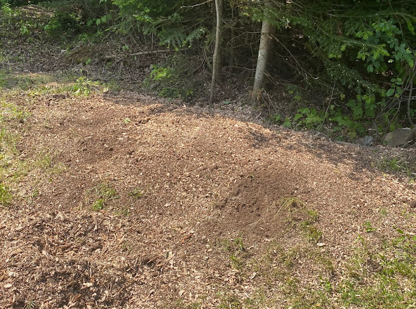 Brents Stump Removal | 214 Upper Mountain Rd, Boundary Creek, NB E1G 4A1, Canada | Phone: (506) 852-0125