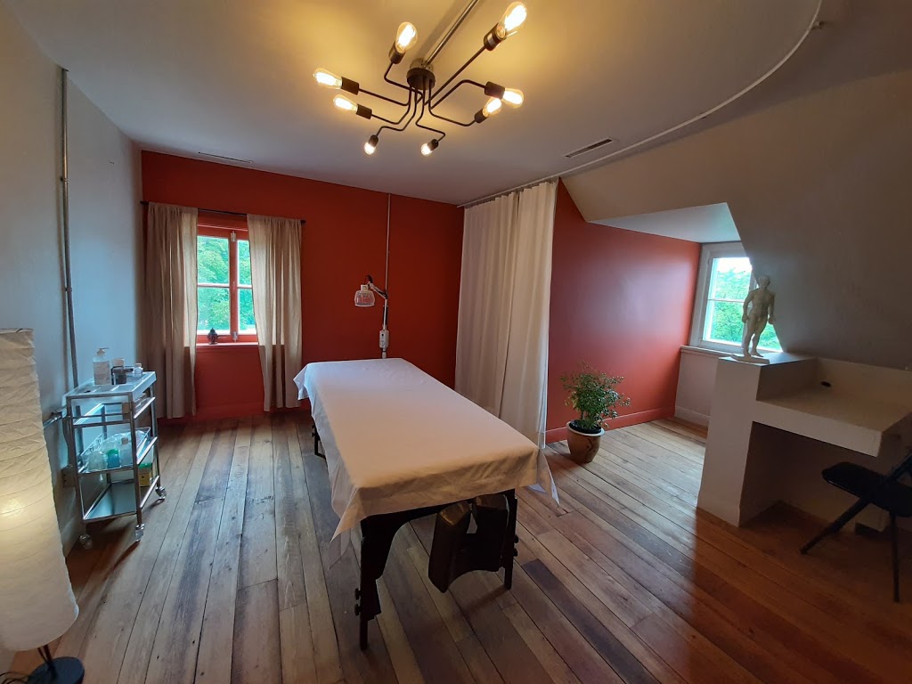 Acupuncture Cloée Masse Desranleau | 4E Avenue de Gaspé E, Saint-Jean-Port-Joli, QC G0R 3G0, Canada | Phone: (418) 803-7116