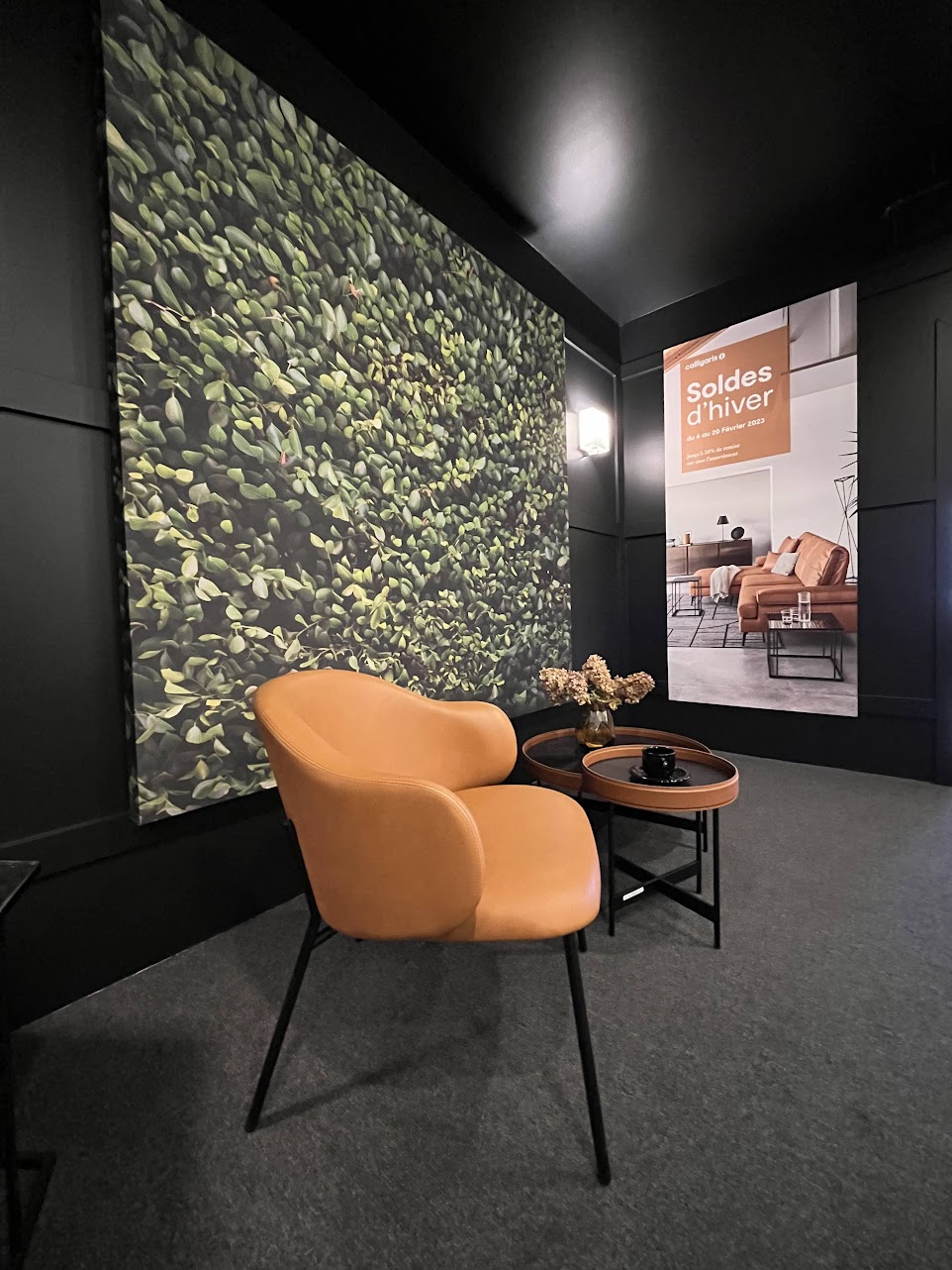Calligaris Laval | 2296 Boul. le Corbusier, Laval, QC H7S 2C9, Canada | Phone: (514) 382-6870