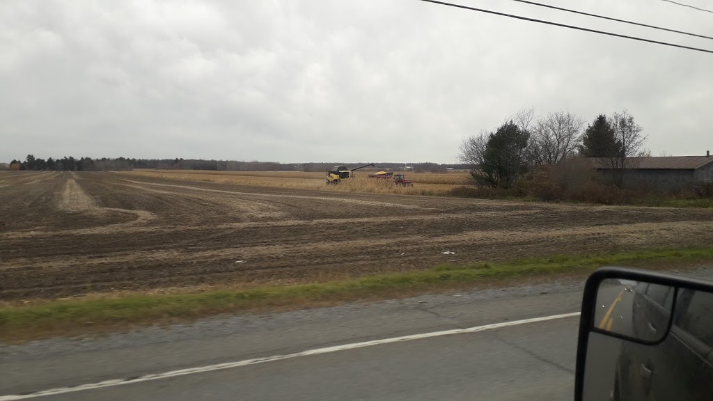 Ferme Cerpajo Enr | 158 Rang Charlotte, Saint-Liboire, QC J0H 1R0, Canada | Phone: (450) 793-2774