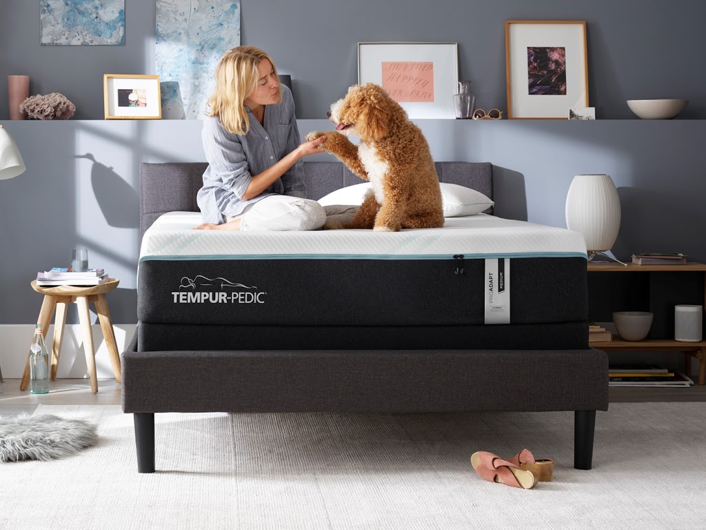 Metro Mattress | 1270 Niagara Falls Blvd, Tonawanda, NY 14150, USA | Phone: (716) 837-4500
