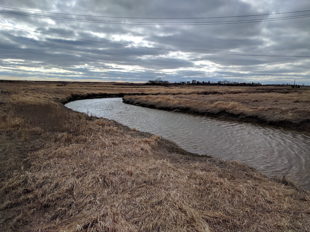 Mable Brown Park | 225 Mikkelson Dr, Regina, SK S4T 7X9, Canada | Phone: (306) 777-7000