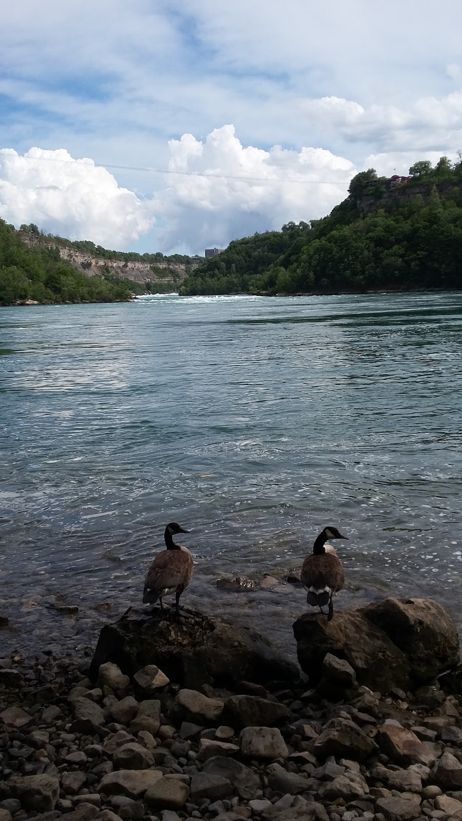 Niagara River Recreaction Trail | 3351 Niagara Pkwy, Niagara Falls, ON L2E, Canada