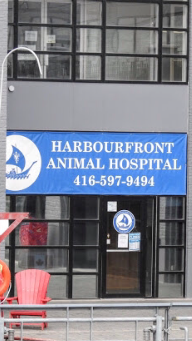 parkdale animal hospital