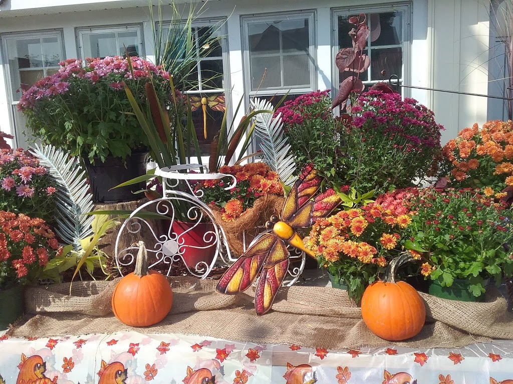 ROSEDALE MINI GARDENS AND DIANAS GIFTS**AT 21 FRANCIS ST WEST | Dianas Gift Shop & Rosedale Mini Gardens at, 21 Francis St W, Fenelon Falls, ON K0M 1N0, Canada | Phone: (416) 996-4615
