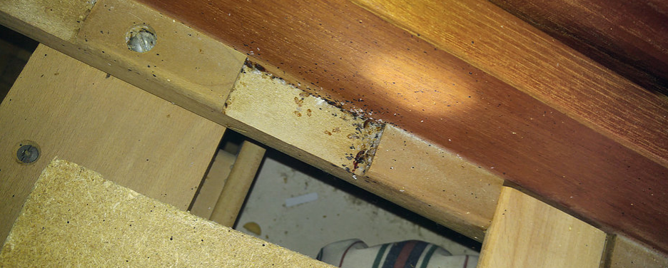Well Done Pest Control | 857 Millworks Crescent, Mississauga, ON L5V 1C4, Canada | Phone: (647) 716-5589