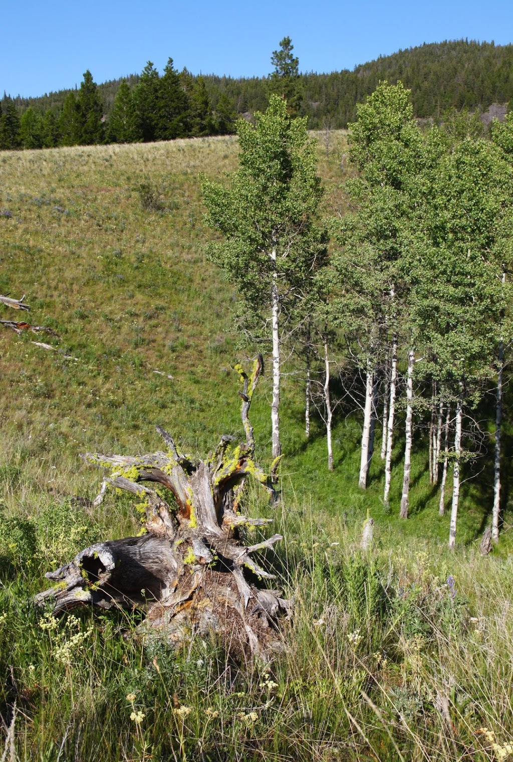 Kentucky Alleyne Provincial Park | Aspen Grove, BC V0E 2R0, Canada | Phone: (250) 320-9305
