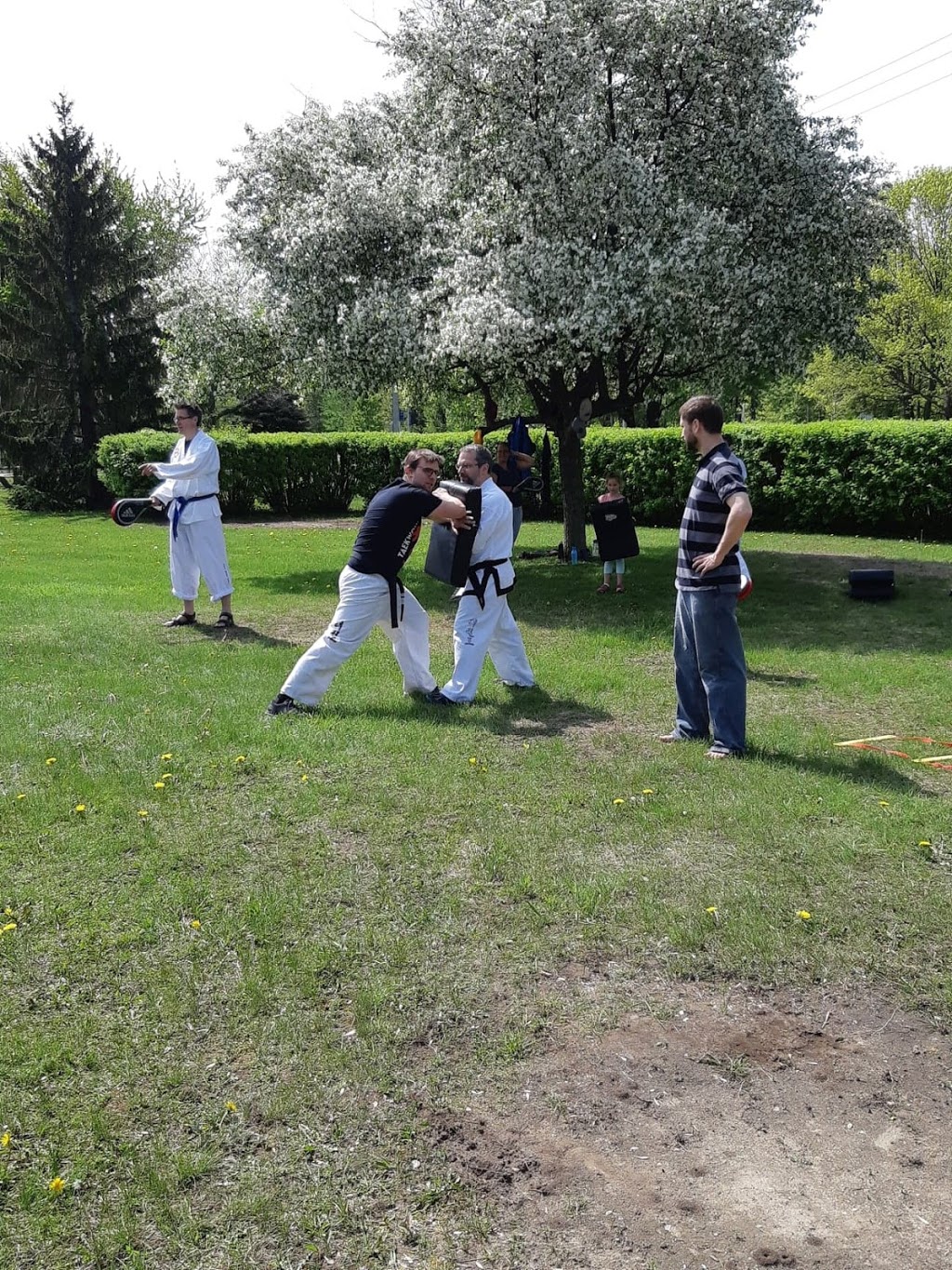 Taekwondo Drummonville | 1550 Rue Saint Aimé, Drummondville, QC J2B 2S8, Canada | Phone: (819) 478-0202
