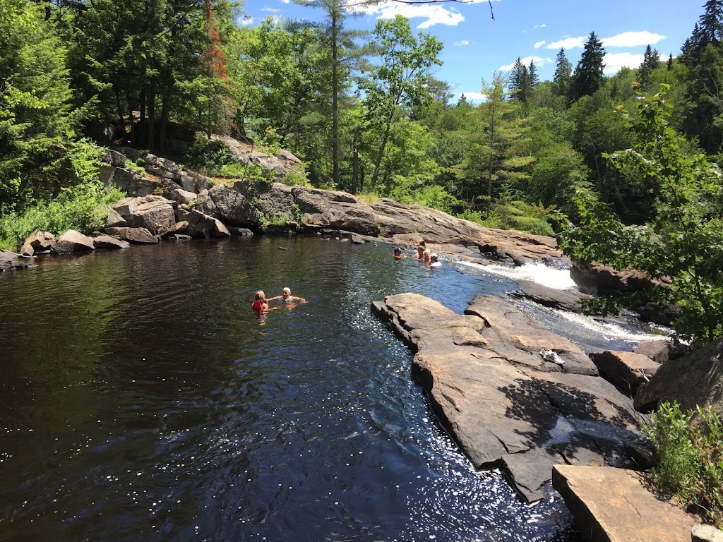 Deep Roots Adventure | 4071 Elephant Lake Rd Unit C, Harcourt, ON K0L 1M1, Canada | Phone: (705) 854-0628