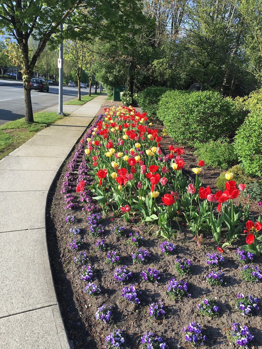 Royal Oak Conservatory Of Music | 5268 Oakmount Crescent, Burnaby, BC V5H 4S1, Canada | Phone: (604) 435-3344