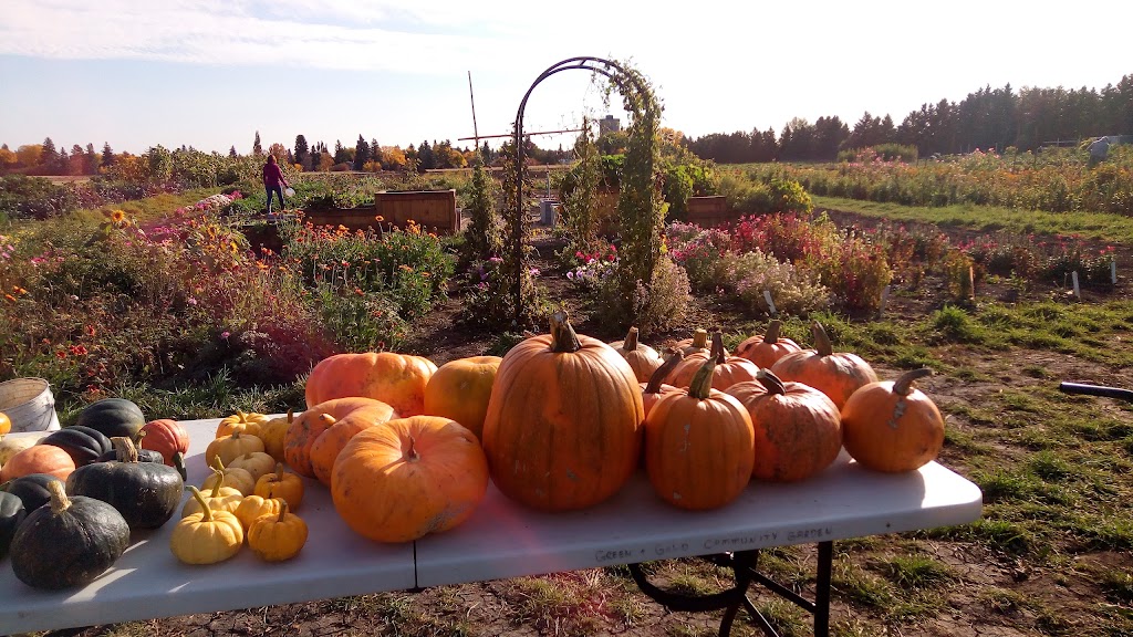 Green and Gold Community Garden | 118 St NW, Edmonton, AB T6H 2V8, Canada | Phone: (780) 492-4087