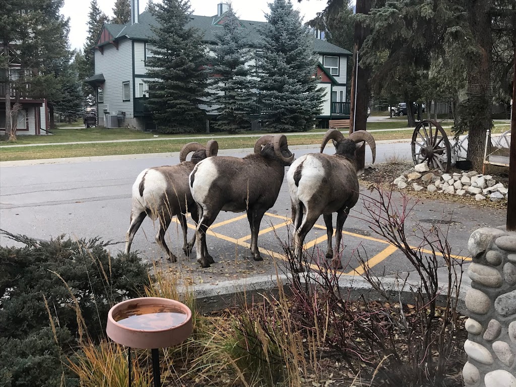 The Village of Radium Hot Springs Municipal office | 4836 Radium Blvd, Radium Hot Springs, BC V0A 1M0, Canada | Phone: (250) 347-6455