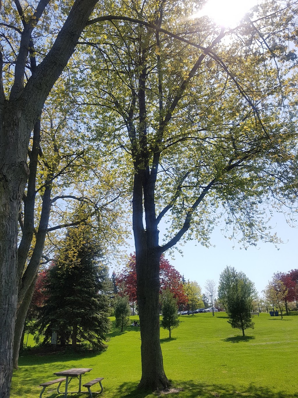 Thomson Memorial Park | 1005 Brimley Rd, Scarborough, ON M1P 3E9, Canada | Phone: (416) 392-2489