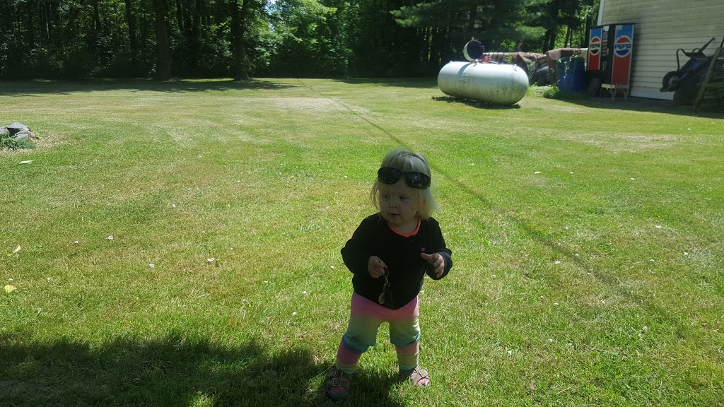 RC Organic Farms | 2022, 37400 30 Mile Rd, New Haven, MI 48050, USA | Phone: (989) 550-5223