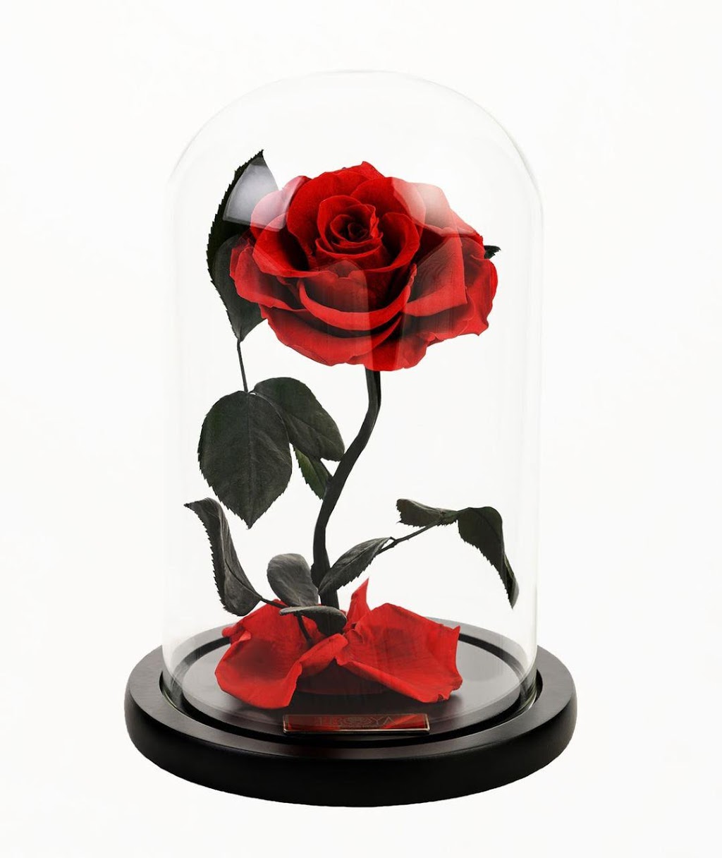Forever Roses | 1734 Coram Crescent, Mississauga, ON L4X 1K9, Canada | Phone: (416) 909-0713