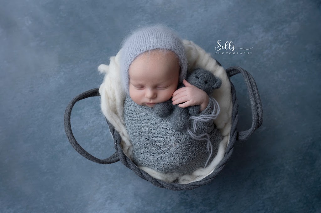 Sills Photography | 505 Mill St, Neustadt, ON N0G 2M0, Canada | Phone: (519) 369-1457
