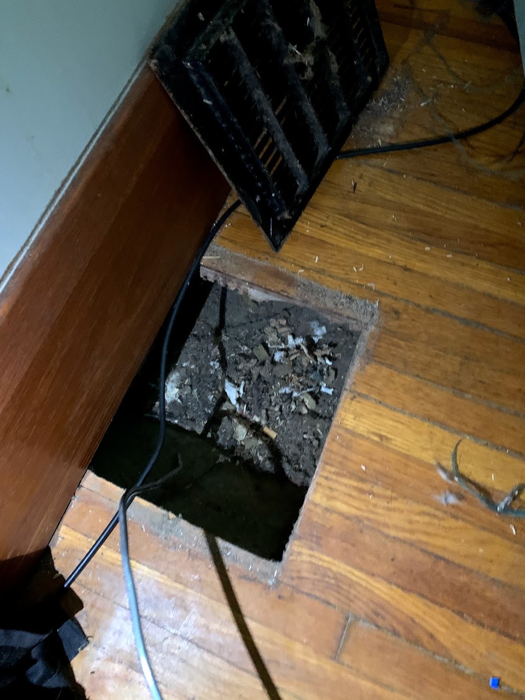 Ontario Steam Carpet & Duct Cleaning Windsor | 704 Newport Crescent, Windsor, ON N9E 4Z6, Canada | Phone: (519) 250-4456