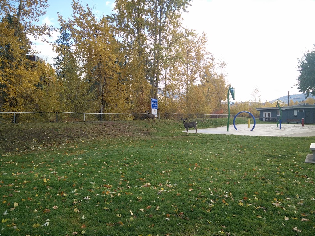 Princeton Rotary Splash Park | 273 Lime St, Princeton, BC V0X 1W0, Canada | Phone: (250) 295-6067