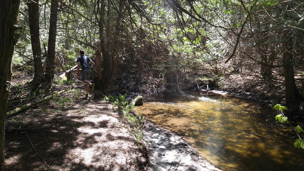 Conservation Lands | Mono Adjala Townline, Orangeville, ON L9W 2Z2, Canada | Phone: (416) 661-6600