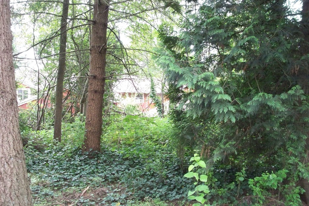 Champlain Heights Trails | Douglas Fir Trail, Vancouver, BC V5S 3Y5, Canada | Phone: (604) 873-7000