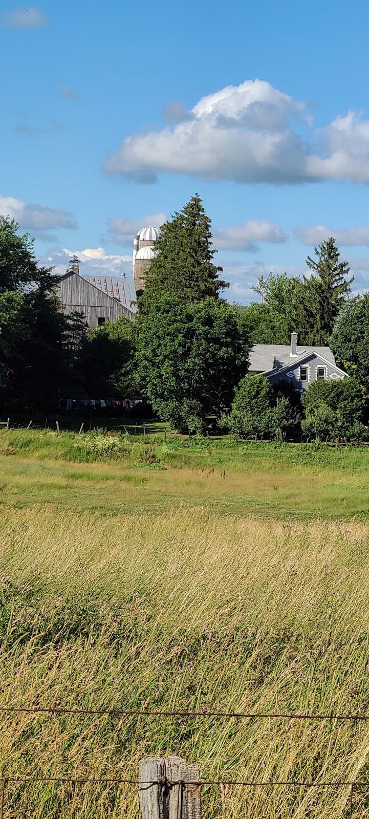 Buck Valley Ranch | 7367 6 Line, Drayton, ON N0G 1P0, Canada | Phone: (403) 393-3499