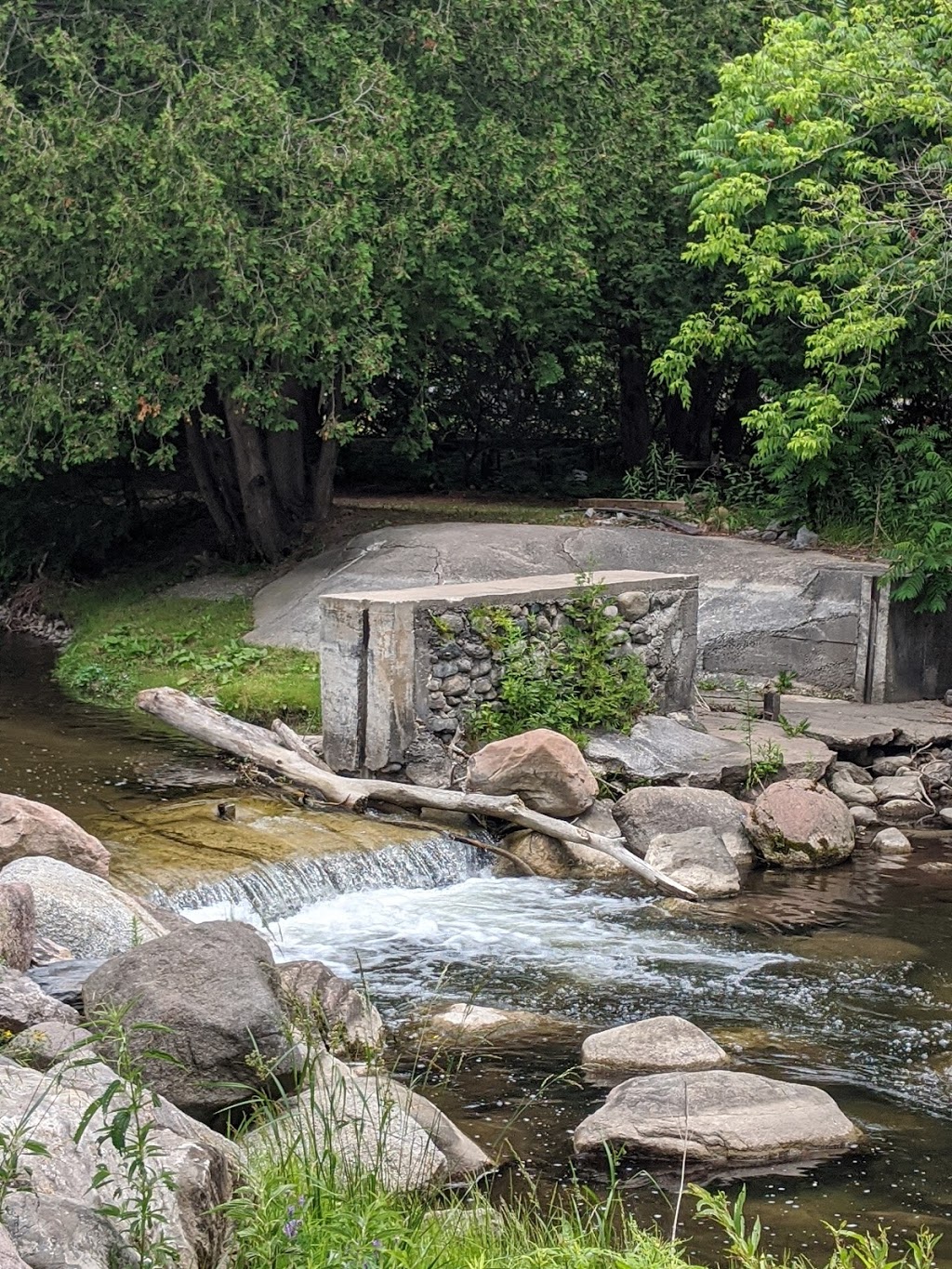 Shelter Valley Park | 1806 Shelter Valley Rd, Grafton, ON K0K 2G0, Canada | Phone: (905) 349-2037