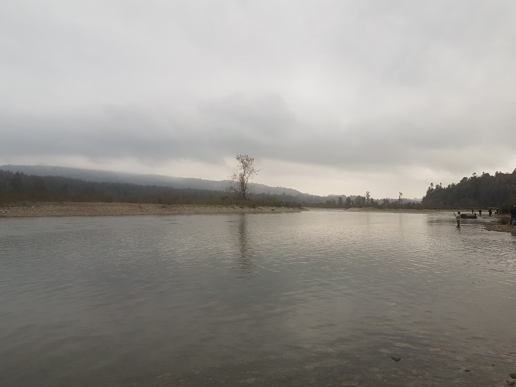 Thompson Creek Farm | 10437 Wilson St, Mission, BC V4S 1B4, Canada | Phone: (604) 462-9641