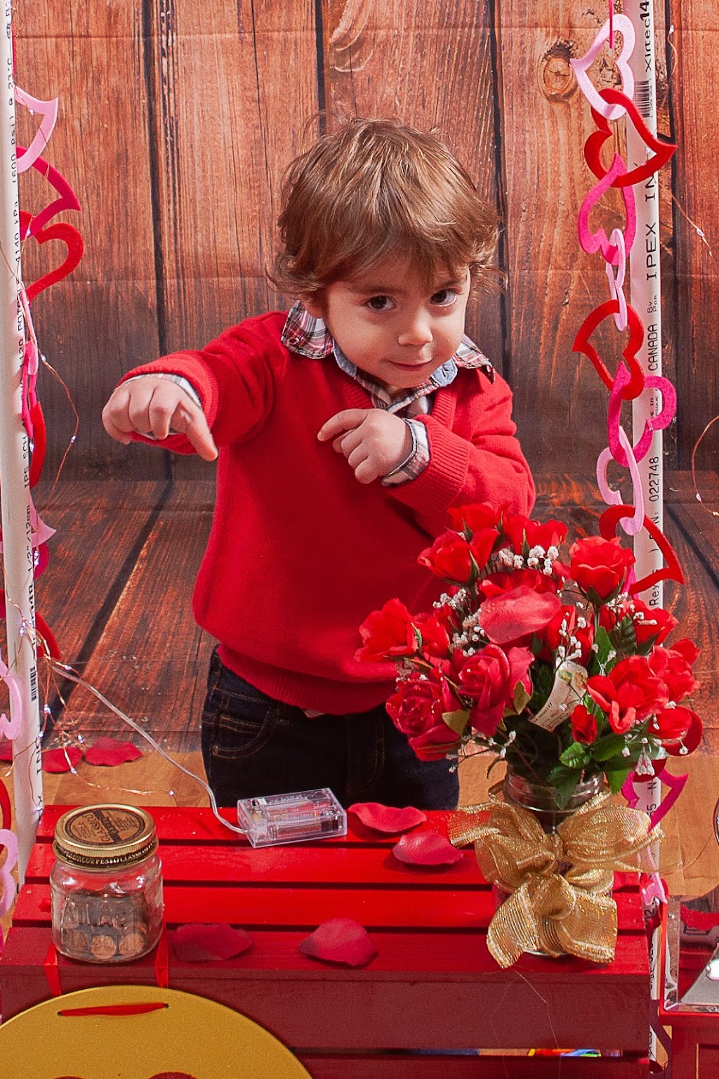 Proper Exposure Photography | 18 Normandy Dr, Winnipeg, MB R2Y 2H3, Canada | Phone: (204) 227-1557