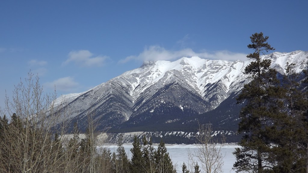 Cheechako cabins | 205 Grouse Meadow Ln, Nordegg, AB T0M 2H0, Canada | Phone: (403) 721-2230