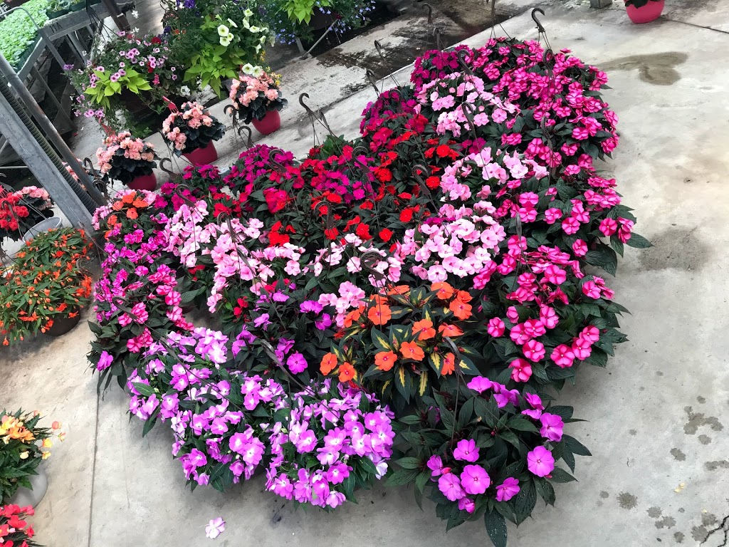 Antonio Bajar Greenhouses | 18545 Keele St, King, ON L3Y 4V9, Canada | Phone: (905) 775-2773