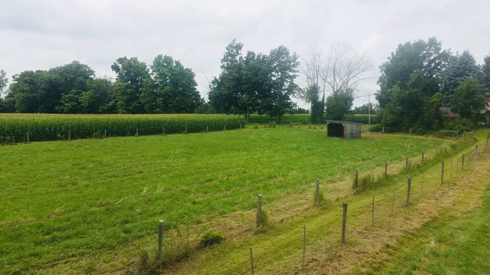 Vanwell Stables | 112 Big Creek Rd, Caledonia, ON N3W 2G9, Canada | Phone: (519) 802-5365