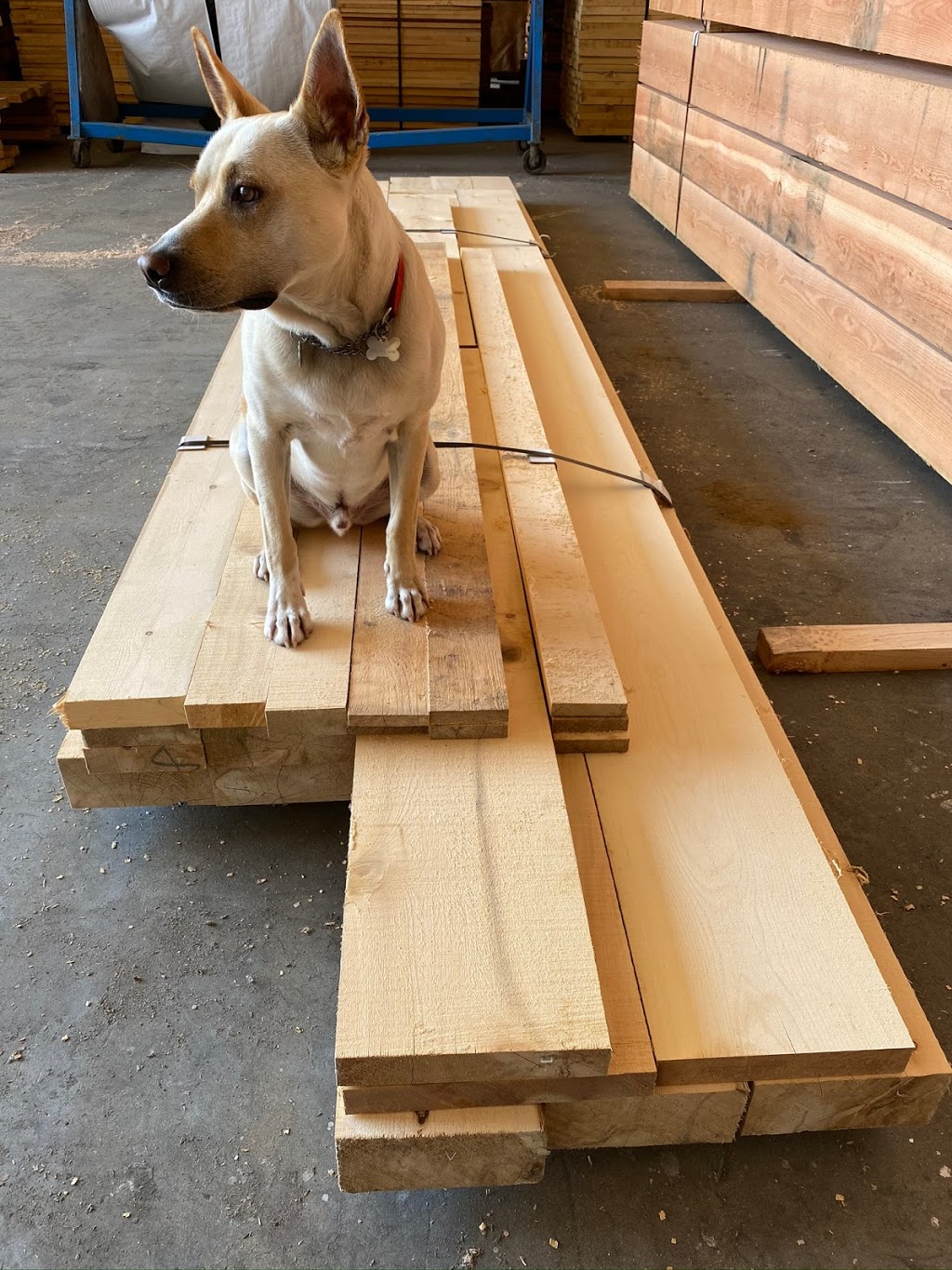 Lumber Store by CarlWood | 9492 287 St, Maple Ridge, BC V2W 1L1, Canada | Phone: (604) 462-7517