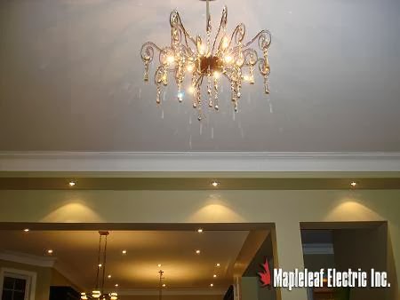 Mapleleaf Electric Inc | 48 Katie Ct, North York, ON M6L 1R6, Canada | Phone: (647) 344-3320