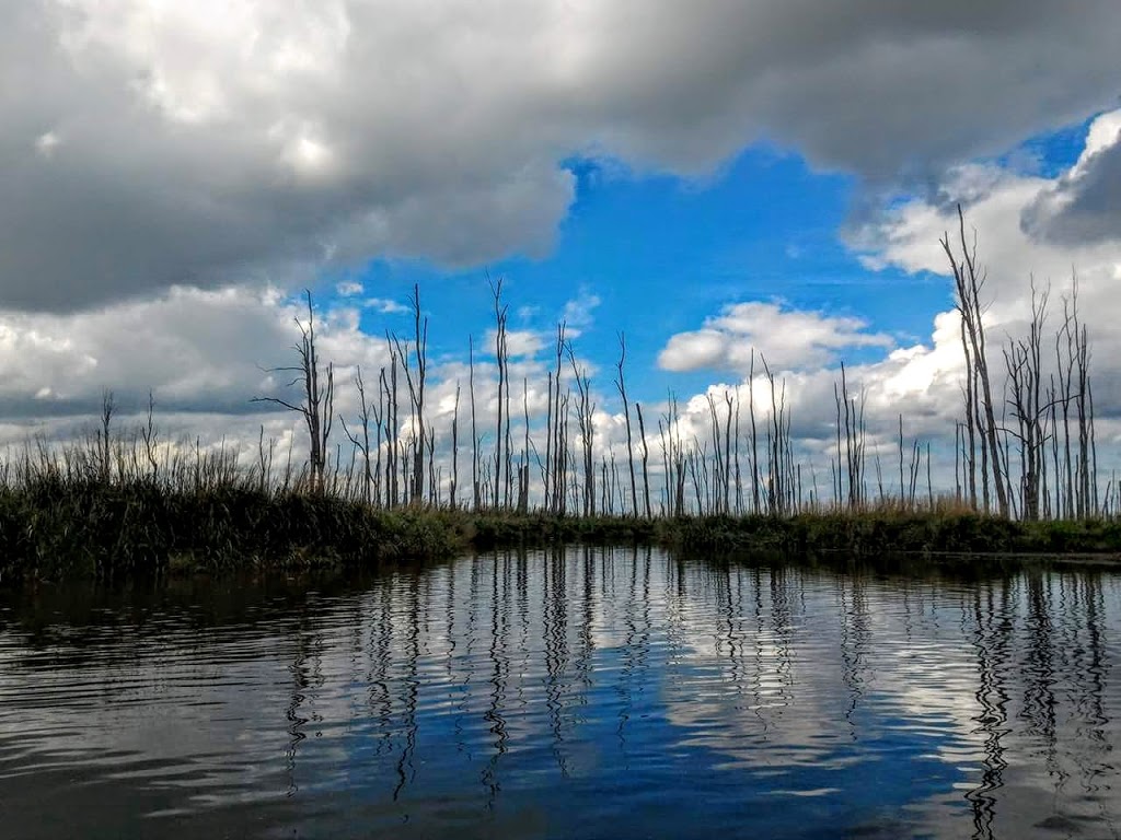 Minesing Wetlands | 363 Mill St, Angus, ON L0M 1T2, Canada | Phone: (705) 424-1479