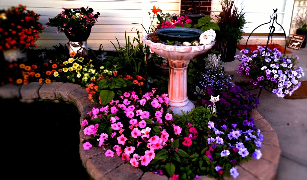 Local Nursery Ltd | 26515A, Township Rd 514, Spruce Grove, AB T7Y 1G1, Canada | Phone: (780) 987-9133