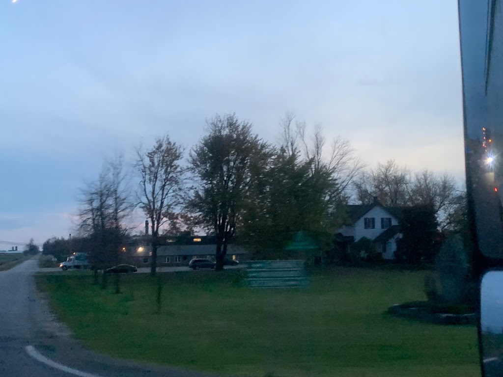 Outback Tree Farm | 5290 Perth County Line 86, Listowel, ON N4W 3G8, Canada | Phone: (519) 291-4754