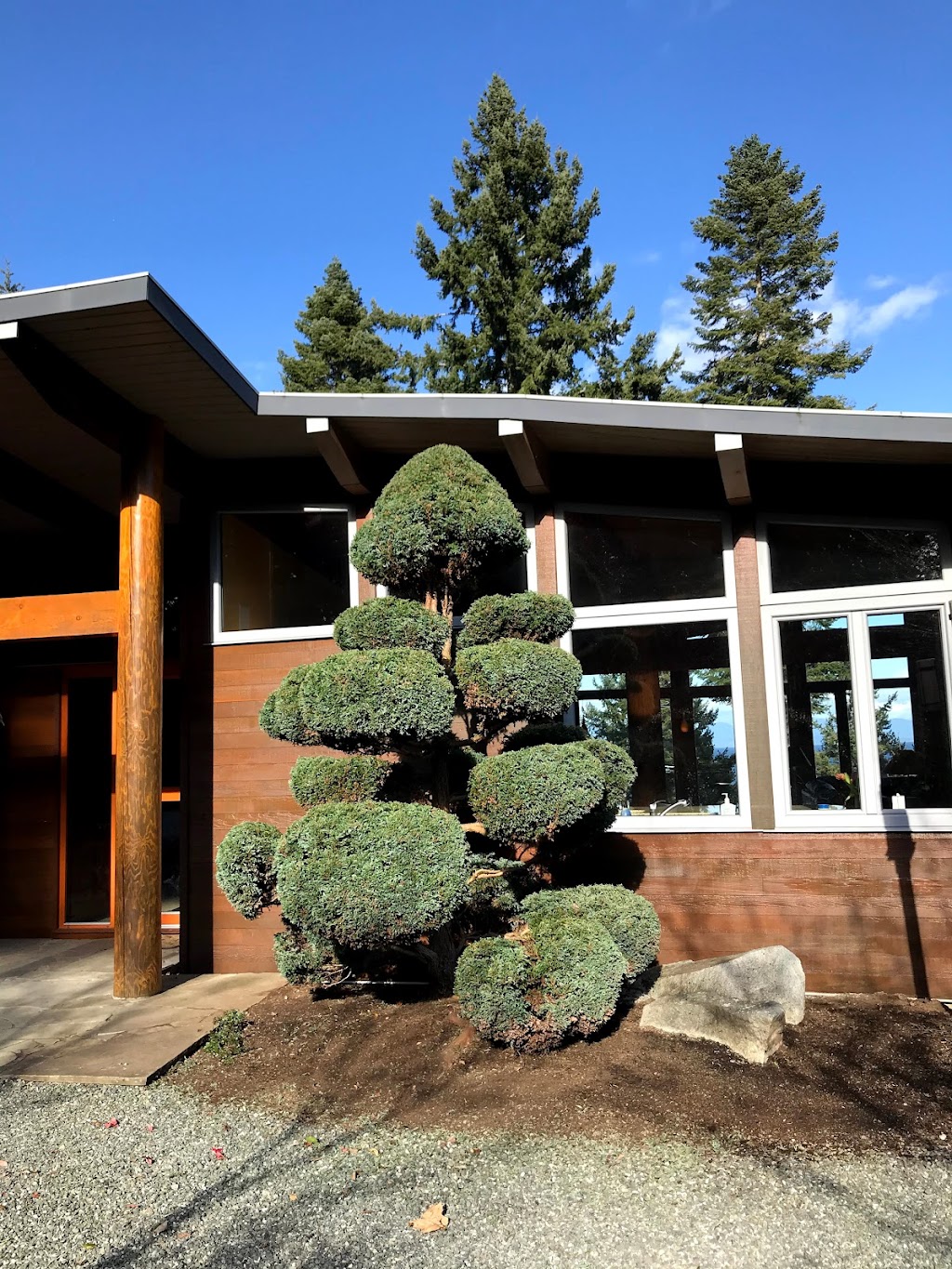 Terra Vie Landscaping | Piercy Rd, Courtenay, BC V9J 1P7, Canada | Phone: (250) 207-0599
