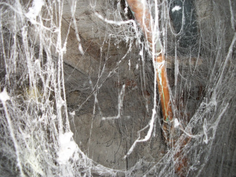 Paragon Inspections | 265 Superior St, Stayner, ON L0M 1S0, Canada | Phone: (705) 790-3013