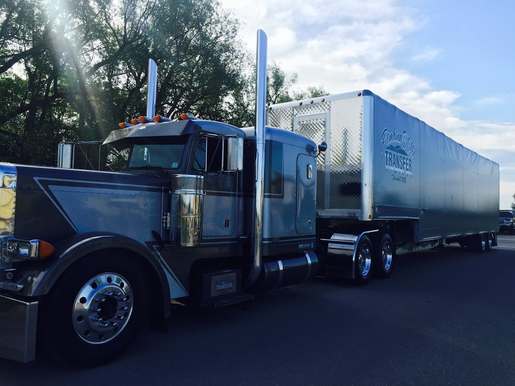Pembina Hills Transfer Limited | 444 9 St S, Morden, MB R6M 0C3, Canada | Phone: (204) 801-1156