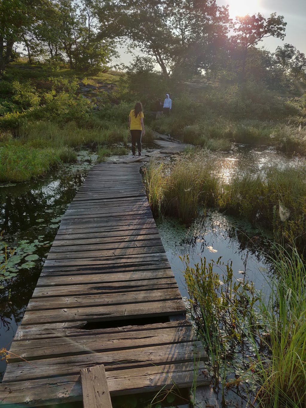 Torrance Barrens Dark-Sky Preserve | Southwood Rd, Gravenhurst, ON P0C 1M0, Canada | Phone: (800) 267-9700