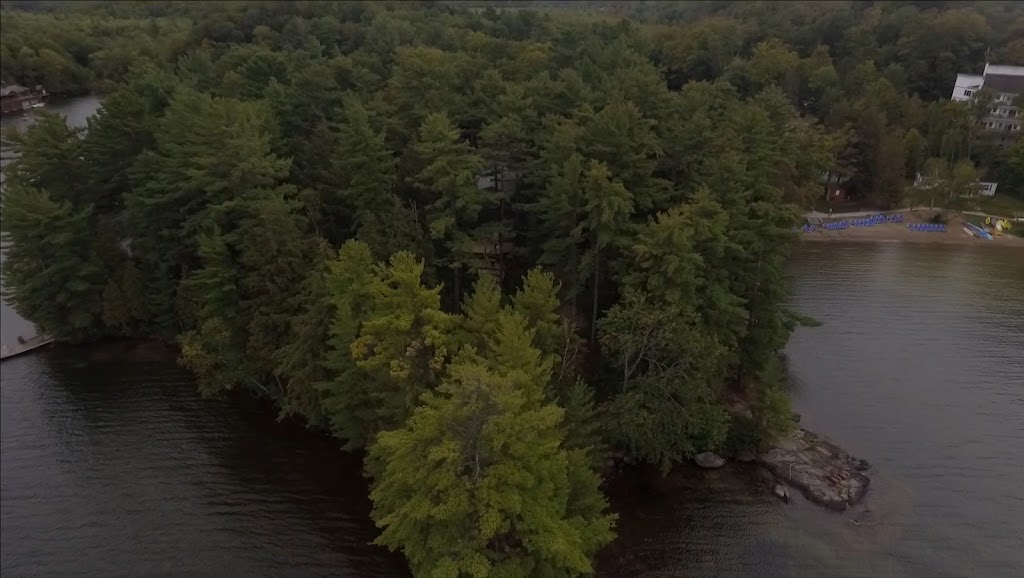 Sprout Productions | 1541 Bonnie Lake Rd, Bracebridge, ON P1L 1W9, Canada | Phone: (705) 706-1158