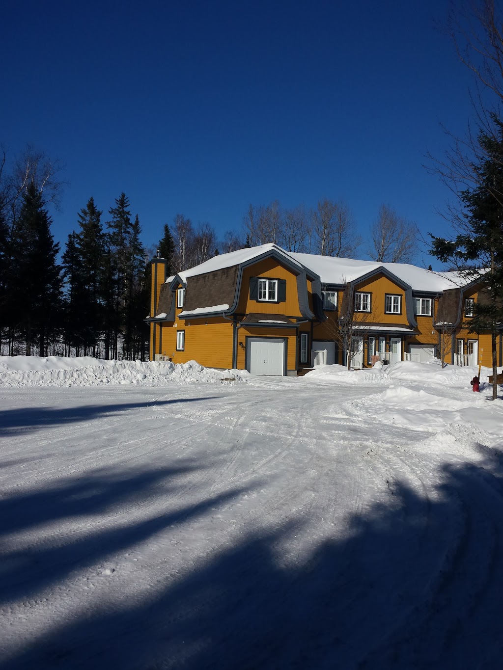 Boréalis | 216 Allée Boréalis, Mont-Tremblant, QC J8E 0A4, Canada | Phone: (613) 591-1660