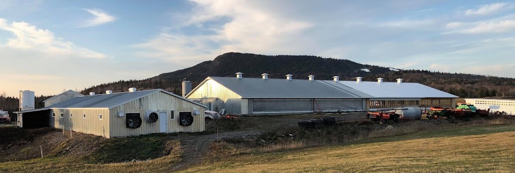 Ferme Dosane senc | 847 QC-267, Adstock, QC G0N 1S0, Canada | Phone: (418) 422-5899