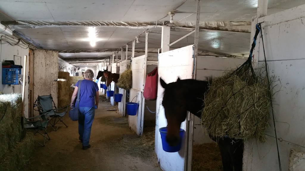 Canadian Thoroughbred Horse Society | 3975 Portage Ave, Winnipeg, MB R3K 2E9, Canada | Phone: (204) 832-1702