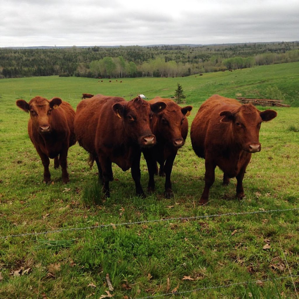 Marshdale Farms | 2731 White Hill Rd, Hopewell, NS B0K 1C0, Canada | Phone: (902) 923-2323