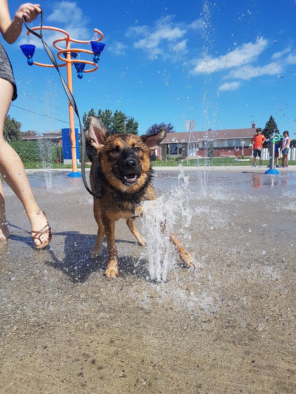 Park Riviera | 22 Rue dAuvergne, Gatineau, QC J8T 6J8, Canada | Phone: (866) 299-2002