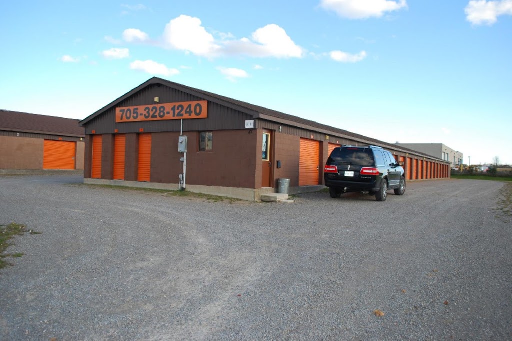 Lindsay Mini Storage | 47 Needham St, Lindsay, ON K9V 5E7, Canada | Phone: (705) 328-1240