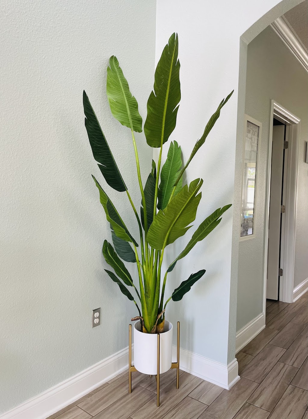 artiplanto decorations | 1670 QC-117, Val-David, QC J0T 2N0, Canada | Phone: (855) 722-1818