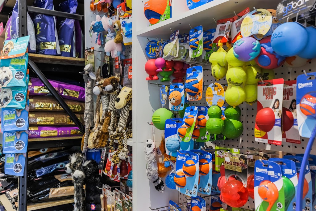 Hounds Of York | 9 Niagara St, Toronto, ON M5V 1C2, Canada | Phone: (416) 593-5225