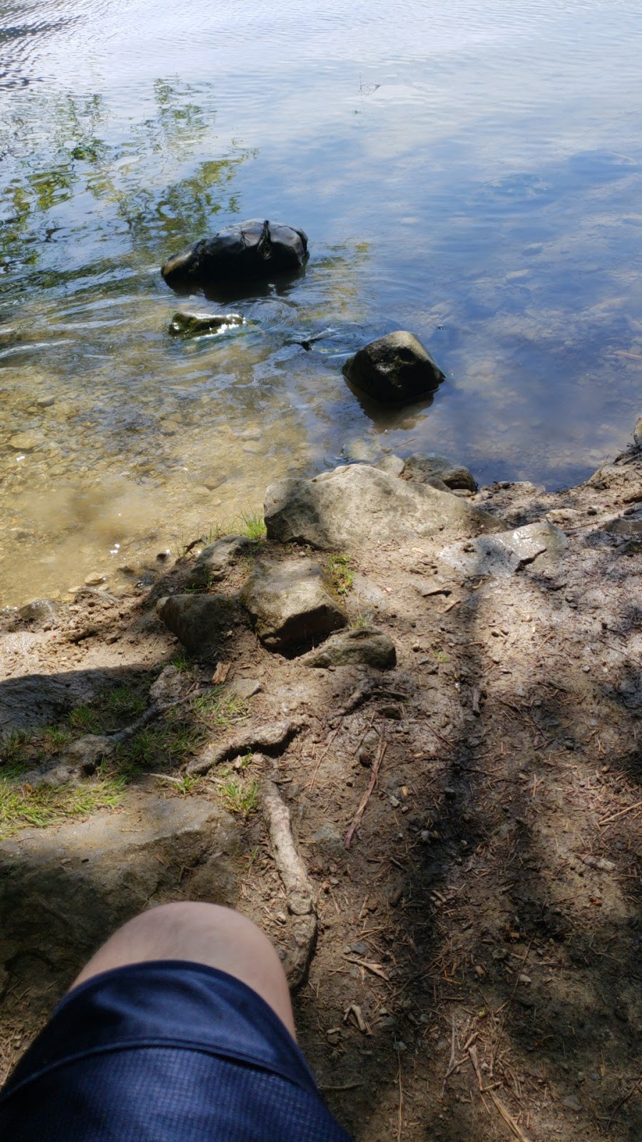 Lake Whatcom Park | 3220 N Shore Rd, Bellingham, WA 98226, USA | Phone: (360) 778-5850